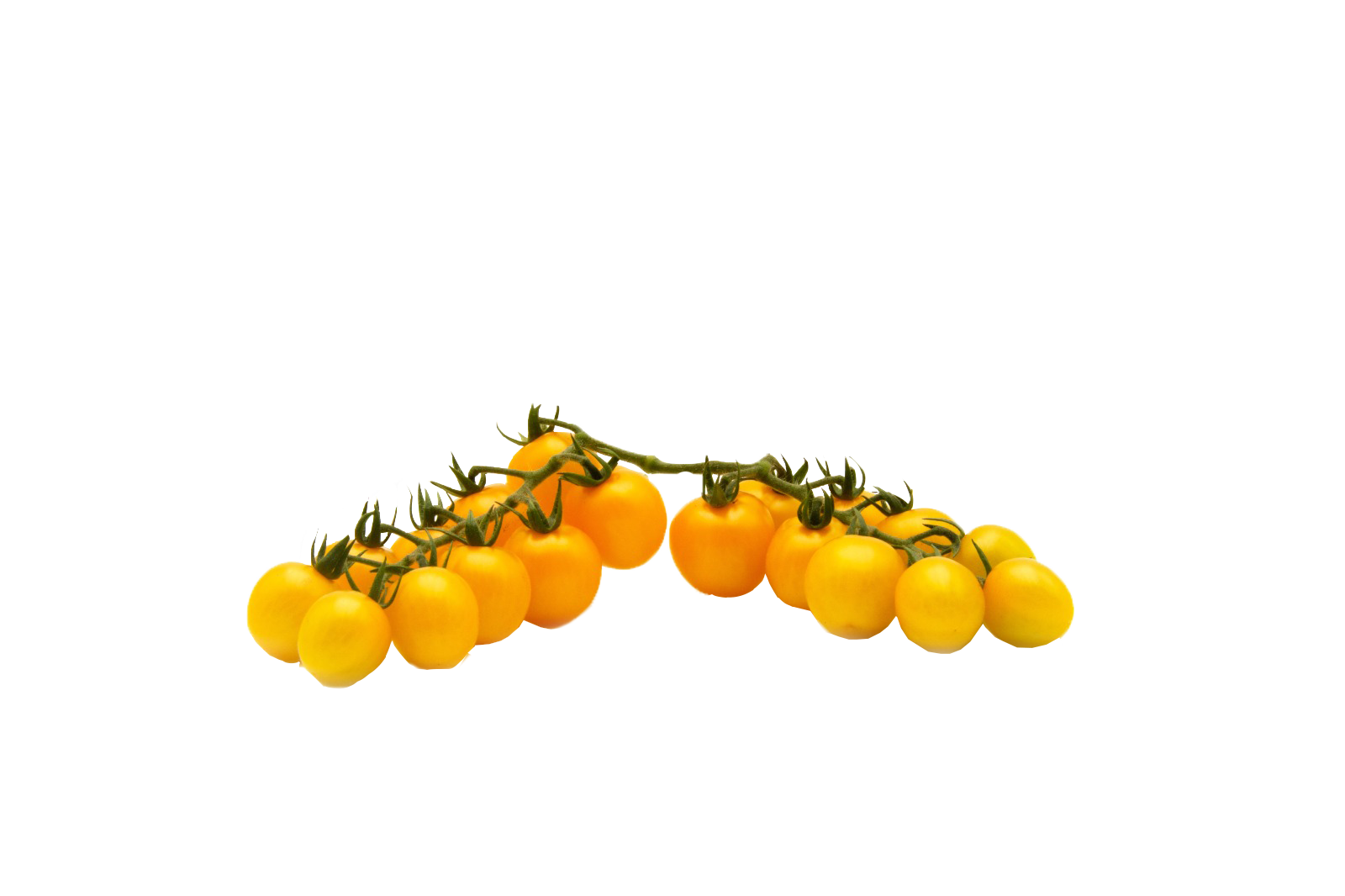 pomodori gialli PNG